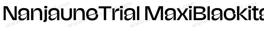 NanjauneTrial MaxiBlackitalic字体转换